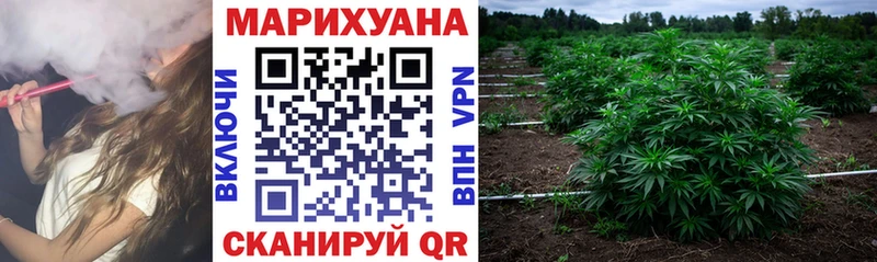 Где купить Суровикино Alpha-PVP  KRAKEN онион  ГАШ  МАРИХУАНА  Меф мяу мяу 